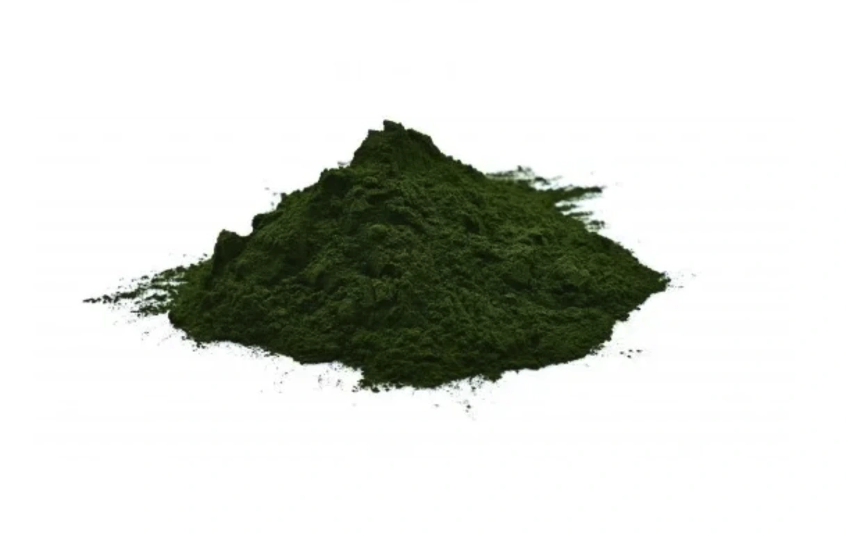 Chlorella sladkovodná riasa - 1kg