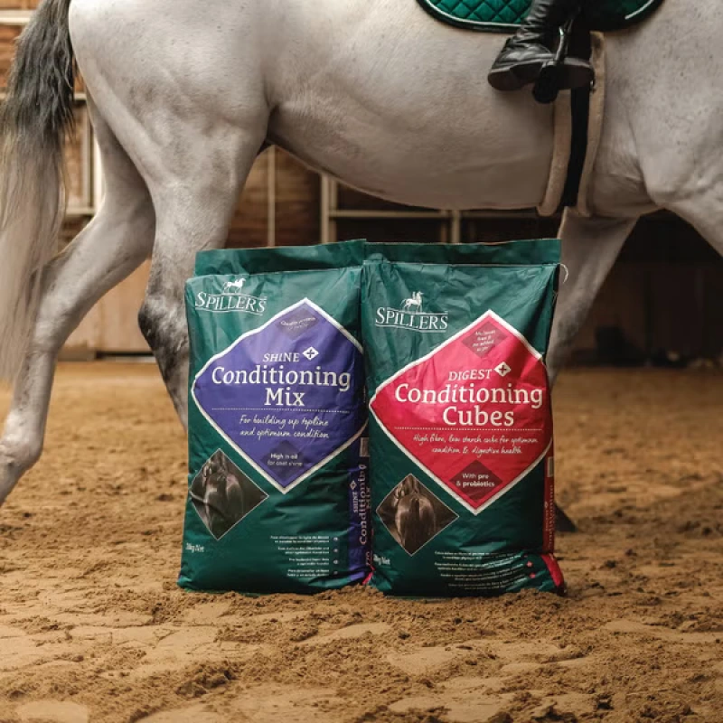 Spillers Shine Conditioning Mix 20kg 2
