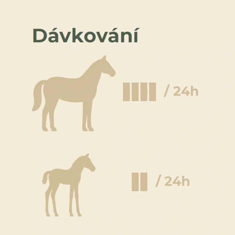 Root & Snoot –tyčinka s jablkom a mrkvou pre kone 50 g 1