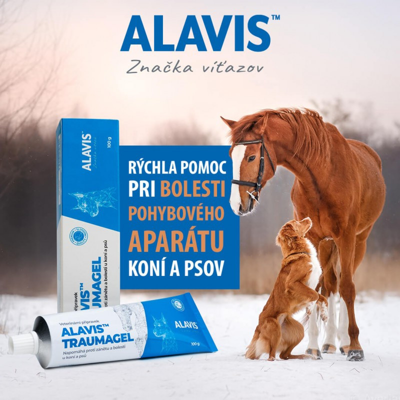 ALAVIS Traumagel pre psy a kone 100 g 1
