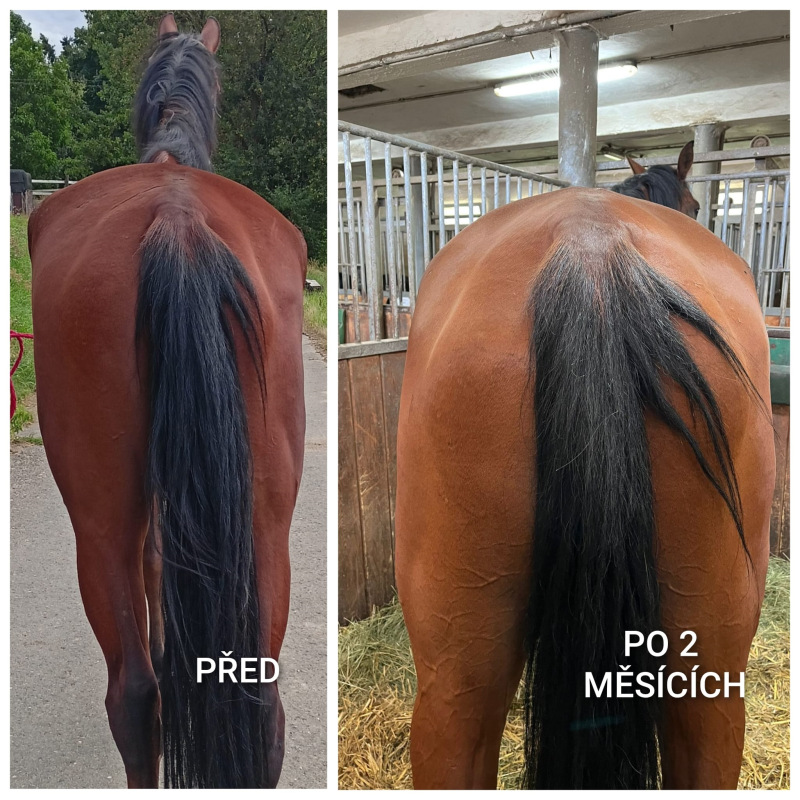 UNIQORN MINERAL POWER 2