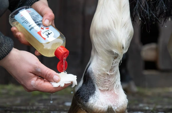 Umývací gél pre kone s citlivou alebo poškodenou pokožkou Leovet, 250 ml 1