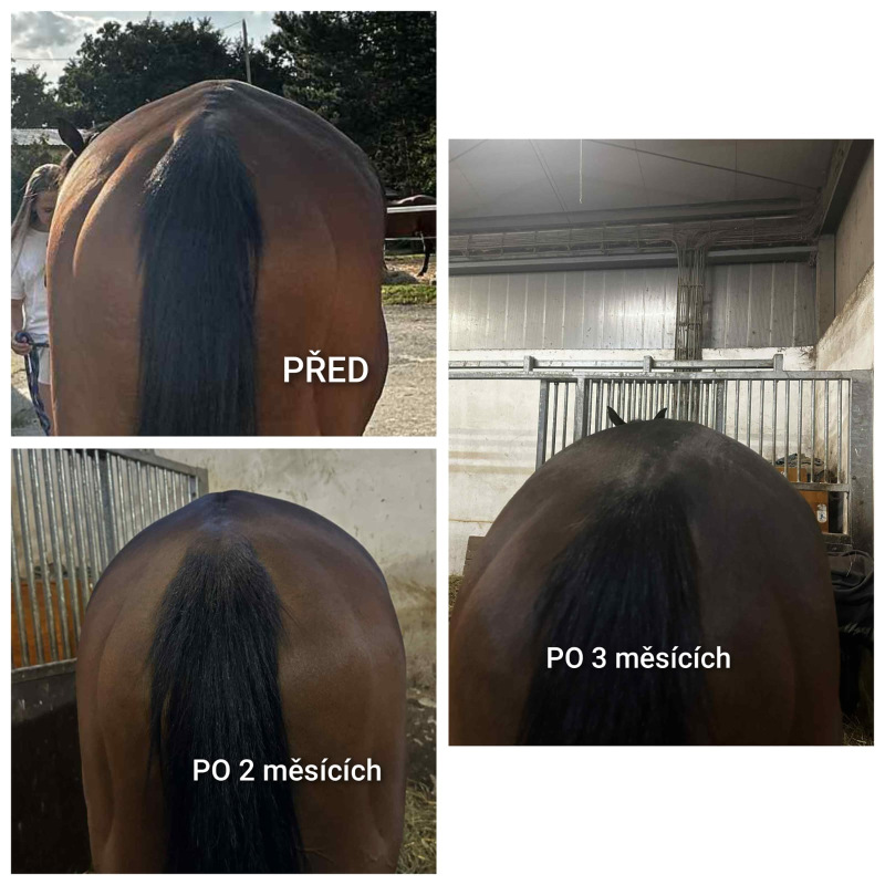 UNIQORN MINERAL POWER 3