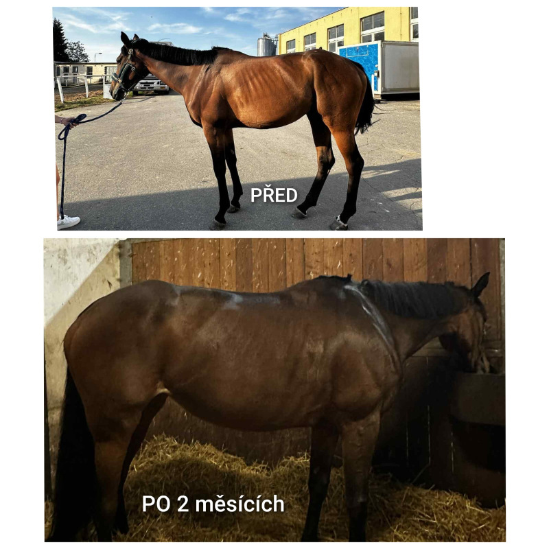 UNIQORN MINERAL POWER 4