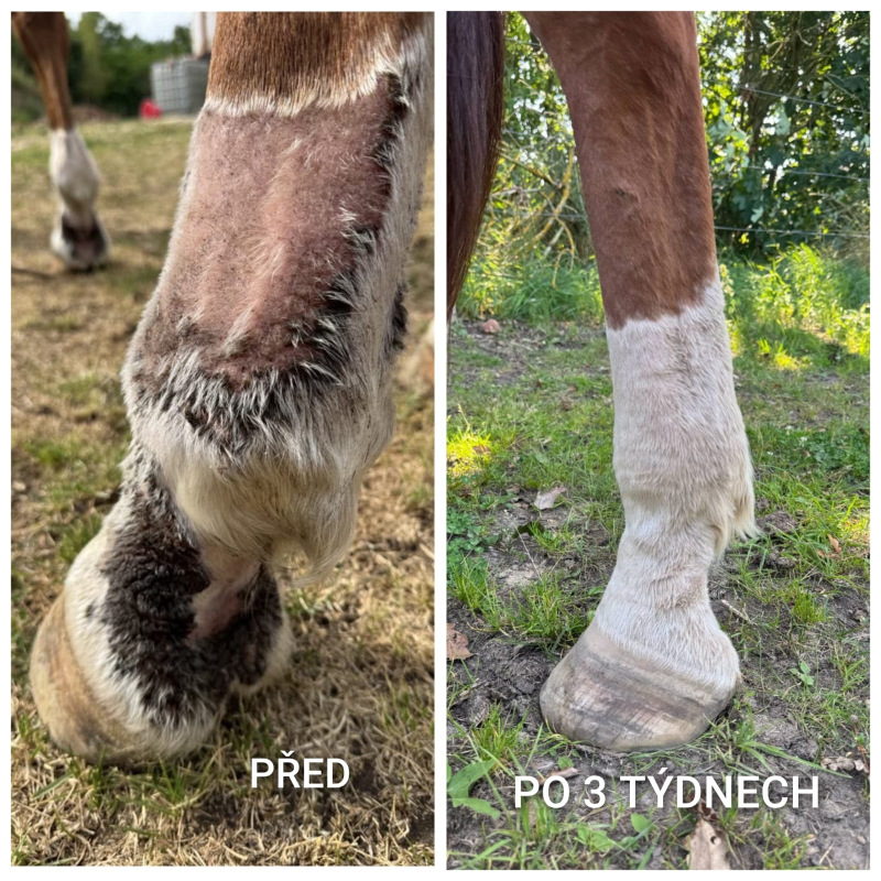 UNIQORN DERMA 1,5 kg 5