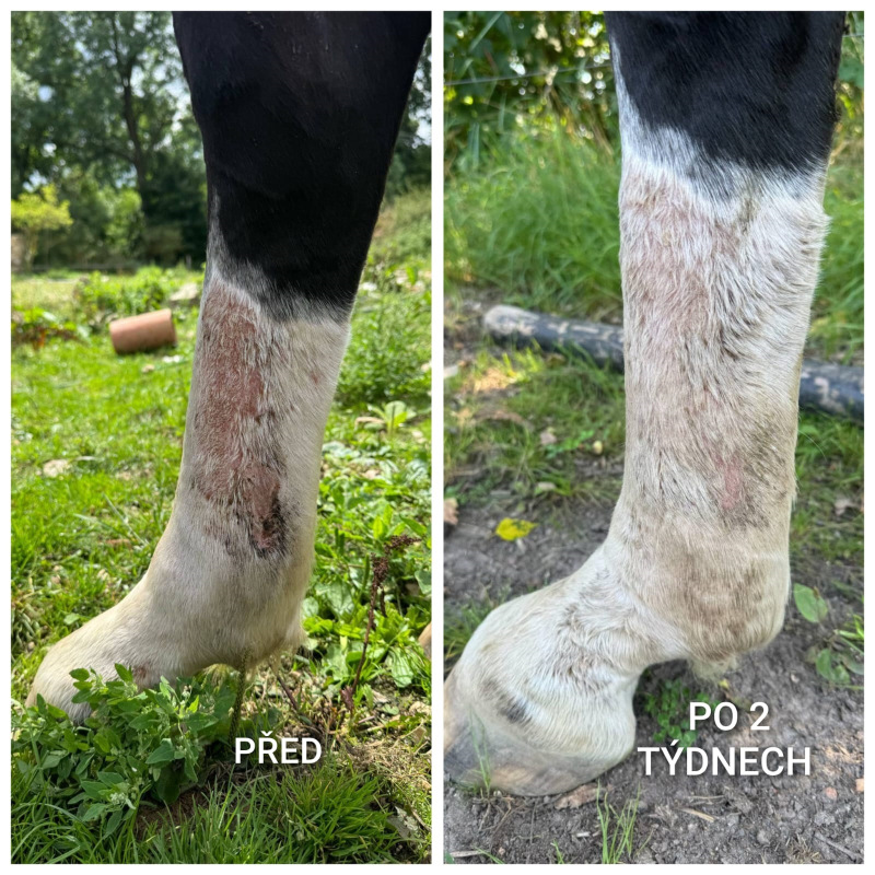 UNIQORN DERMA 1,5 kg 3