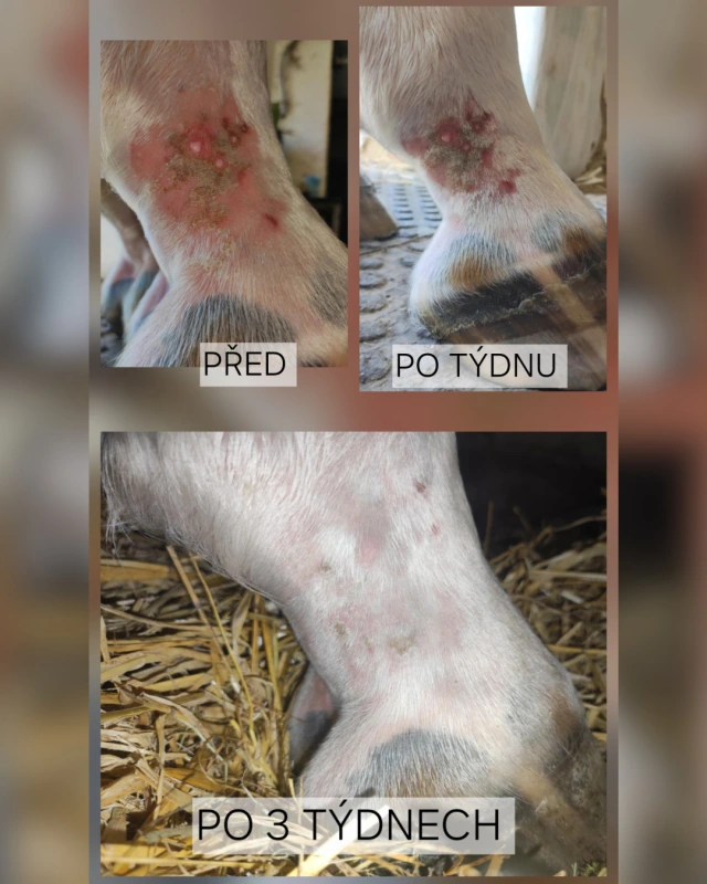 UNIQORN DERMA 1,5 kg 1