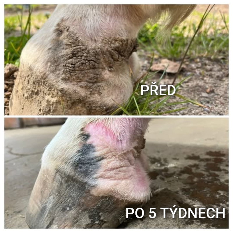 UNIQORN DERMA 1,5 kg 2