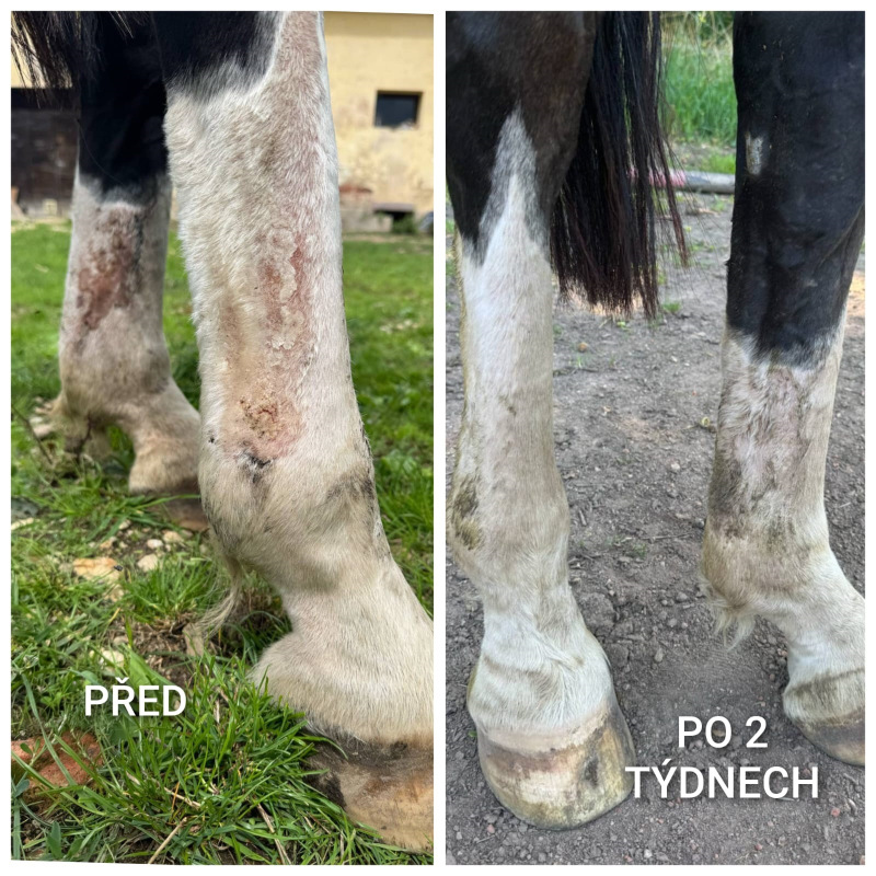 UNIQORN DERMA 1,5 kg 4