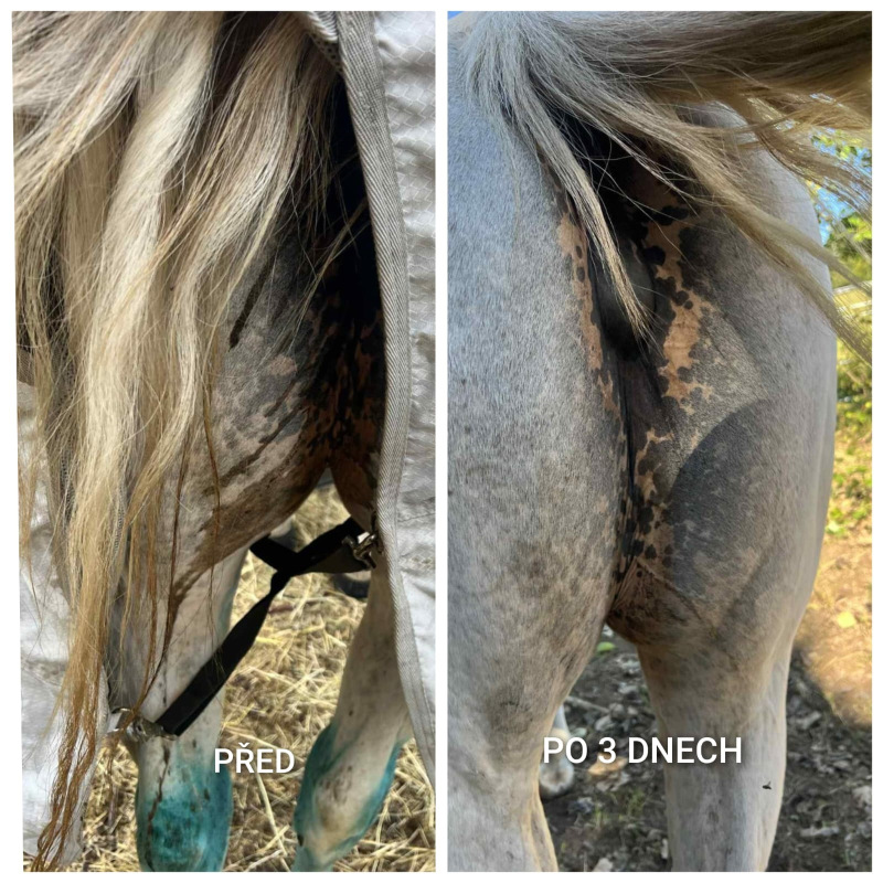 UNIQORN BYE BYE DIARRHEA +Bye Bye DIARRHEA mash 3