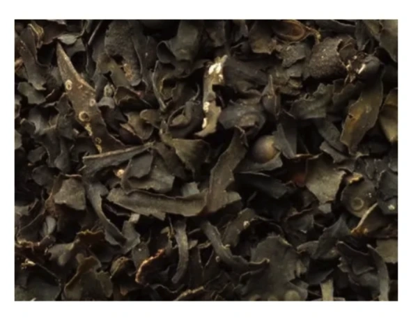 Chaluha bublinatá (Kelpa) 1 kg