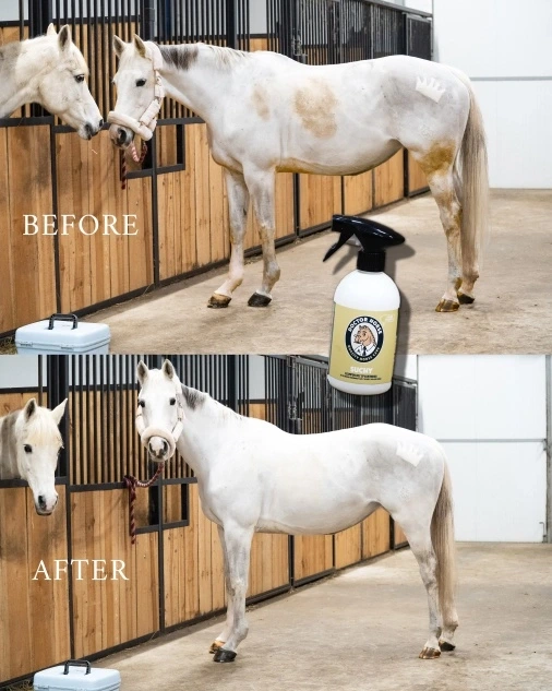 Suchy - šampón bez oplachovania 500ml 3