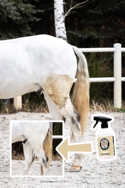 Suchy - šampón bez oplachovania 500ml 1