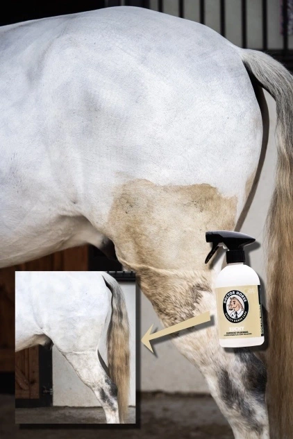 Suchy - šampón bez oplachovania 500ml 2